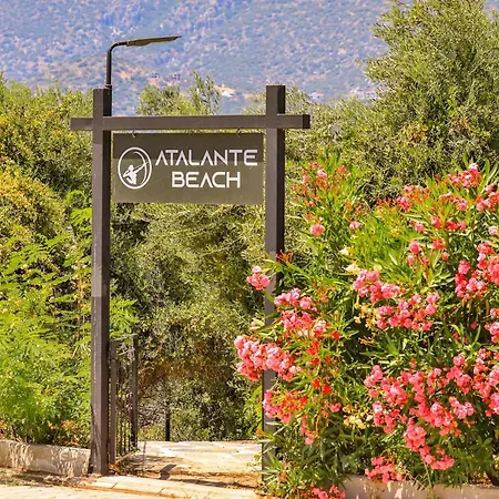 Atalante 2*